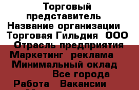 Торговый представитель › Название организации ­ Торговая Гильдия, ООО › Отрасль предприятия ­ Маркетинг, реклама, PR › Минимальный оклад ­ 80 000 - Все города Работа » Вакансии   . Мордовия респ.